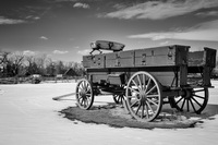 Wagon
